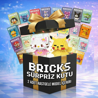 2 Adet Sürpriz Bricks