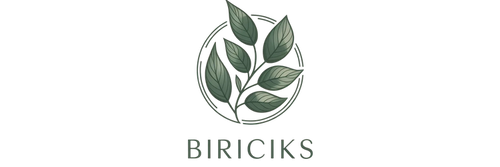 biriciks